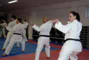 Letní cvičení na Lipně a seminář karate u příležitosti 15ti let IOGKF v ČR