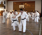Seminář Kata Goju ryu karate dó v Jindřichově Hradci Seminář Kata Goju ryu karate dó v Jindřichově Hradci