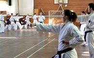 Seminář Kata Goju ryu karate dó v Jindřichově Hradci Seminář Kata Goju ryu karate dó v Jindřichově Hradci