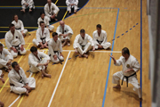 15 Evropské Gasshuku okinawského goju ryu karate dó OGKK 15 Evropské Gasshuku okinawského goju ryu karate dó OGKK