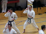 15 Evropské Gasshuku okinawského goju ryu karate dó OGKK 15 Evropské Gasshuku okinawského goju ryu karate dó OGKK
