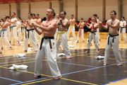 15 Evropské Gasshuku okinawského goju ryu karate dó OGKK 15 Evropské Gasshuku okinawského goju ryu karate dó OGKK