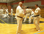 15 Evropské Gasshuku okinawského goju ryu karate dó OGKK 15 Evropské Gasshuku okinawského goju ryu karate dó OGKK