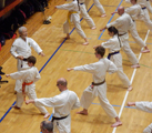 15 Evropské Gasshuku okinawského goju ryu karate dó OGKK 15 Evropské Gasshuku okinawského goju ryu karate dó OGKK