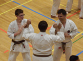 15 Evropské Gasshuku okinawského goju ryu karate dó OGKK 15 Evropské Gasshuku okinawského goju ryu karate dó OGKK
