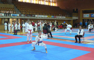 Dětská soutěž Karate Kid Cup v Č. Budějovicích