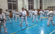 Seminář Kata a Bunkai v J. Hradci
