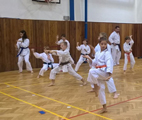 Seminář Kata a Bunkai v J. Hradci Seminář Kata a Bunkai v J. Hradci