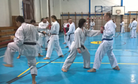 Seminář Kata a Bunkai v J. Hradci Seminář Kata a Bunkai v J. Hradci