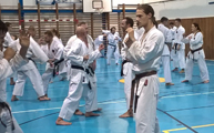 Seminář Kata a Bunkai v J. Hradci Seminář Kata a Bunkai v J. Hradci