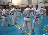 Seminář Kata a Bunkai v J. Hradci Seminář Kata a Bunkai v J. Hradci