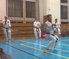 Seminář Kata a Bunkai v J. Hradci Seminář Kata a Bunkai v J. Hradci