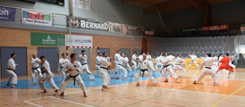 Seminář Kata goju ryu karate dó v J. Hradci Seminář Kata goju ryu karate dó v J. Hradci