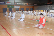 Seminář Kata goju ryu karate dó v J. Hradci Seminář Kata goju ryu karate dó v J. Hradci