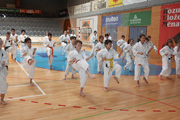 Seminář Kata goju ryu karate dó v J. Hradci Seminář Kata goju ryu karate dó v J. Hradci
