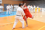 Seminář Kata goju ryu karate dó v J. Hradci Seminář Kata goju ryu karate dó v J. Hradci