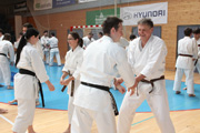 Seminář Kata goju ryu karate dó v J. Hradci Seminář Kata goju ryu karate dó v J. Hradci