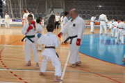 Seminář Kata goju ryu karate dó v J. Hradci Seminář Kata goju ryu karate dó v J. Hradci