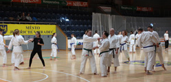 Seminář Kata goju ryu karate dó v J. Hradci Seminář Kata goju ryu karate dó v J. Hradci