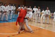 Seminář Kata goju ryu karate dó v J. Hradci Seminář Kata goju ryu karate dó v J. Hradci