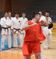 Seminář Kata goju ryu karate dó v J. Hradci Seminář Kata goju ryu karate dó v J. Hradci
