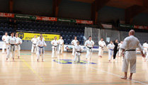 Seminář Kata goju ryu karate dó v J. Hradci Seminář Kata goju ryu karate dó v J. Hradci