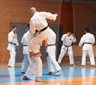 Seminář Kata goju ryu karate dó v J. Hradci Seminář Kata goju ryu karate dó v J. Hradci