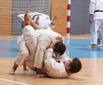 Seminář Kata goju ryu karate dó v J. Hradci Seminář Kata goju ryu karate dó v J. Hradci