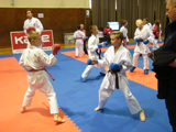 2.kolo Národního poháru mládeže všech stylů karate 2.kolo Národního poháru mládeže všech stylů karate