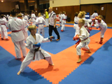 2.kolo Národního poháru mládeže všech stylů karate 2.kolo Národního poháru mládeže všech stylů karate