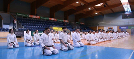 3. Seminář karate dó Czech Goju Ryu Gasshuku 2017 3. Seminář karate dó Czech Goju Ryu Gasshuku 2017