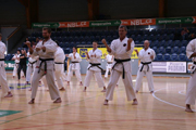 3. Seminář karate dó Czech Goju Ryu Gasshuku 2017 3. Seminář karate dó Czech Goju Ryu Gasshuku 2017