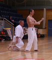 3. Seminář karate dó Czech Goju Ryu Gasshuku 2017 3. Seminář karate dó Czech Goju Ryu Gasshuku 2017