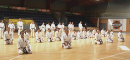 3. Seminář karate dó Czech Goju Ryu Gasshuku 2017 3. Seminář karate dó Czech Goju Ryu Gasshuku 2017