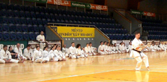 3. Seminář karate dó Czech Goju Ryu Gasshuku 2017 3. Seminář karate dó Czech Goju Ryu Gasshuku 2017