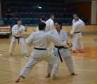3. Seminář karate dó Czech Goju Ryu Gasshuku 2017 3. Seminář karate dó Czech Goju Ryu Gasshuku 2017