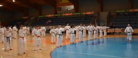 3. Seminář karate dó Czech Goju Ryu Gasshuku 2017 3. Seminář karate dó Czech Goju Ryu Gasshuku 2017