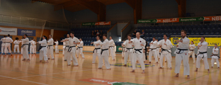 3. Seminář karate dó Czech Goju Ryu Gasshuku 2017 3. Seminář karate dó Czech Goju Ryu Gasshuku 2017