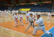 3. Seminář karate dó Czech Goju Ryu Gasshuku 2017 3. Seminář karate dó Czech Goju Ryu Gasshuku 2017