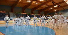 3. Seminář karate dó Czech Goju Ryu Gasshuku 2017 3. Seminář karate dó Czech Goju Ryu Gasshuku 2017