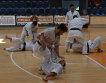 3. Seminář karate dó Czech Goju Ryu Gasshuku 2017 3. Seminář karate dó Czech Goju Ryu Gasshuku 2017