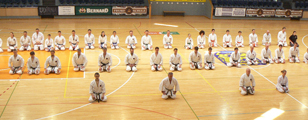 3. Seminář karate dó Czech Goju Ryu Gasshuku 2017 3. Seminář karate dó Czech Goju Ryu Gasshuku 2017
