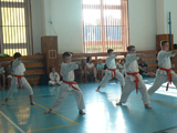 Klubové technické zkoušky na barevné pásy, červen 2017, J. Hradec