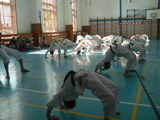 Klubové  technické zkoušky na barevné pásy, červen 2017, J. Hradec