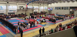 Zlato Víta Masaře na Mistrovství Č.R. v karate všech stylů Zlato Víta Masaře na Mistrovství Č.R. v karate všech stylů