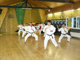 Letní tréninky v dojo Eden a v zahradním dojo 