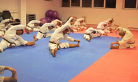 Seminář karate dó a sebeobrany Go Shin Jutsu v J. Hradci 17.11.2018 Seminář karate dó a sebeobrany Go Shin Jutsu v J. Hradci 17.11.2018