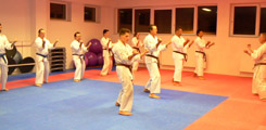 Seminář karate dó a sebeobrany Go Shin Jutsu v J. Hradci 17.11.2018 Seminář karate dó a sebeobrany Go Shin Jutsu v J. Hradci 17.11.2018