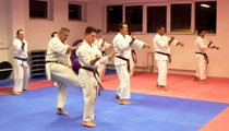 Seminář karate dó a sebeobrany Go Shin Jutsu v J. Hradci 17.11.2018 Seminář karate dó a sebeobrany Go Shin Jutsu v J. Hradci 17.11.2018