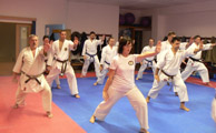 Seminář karate dó a sebeobrany Go Shin Jutsu v J. Hradci 17.11.2018